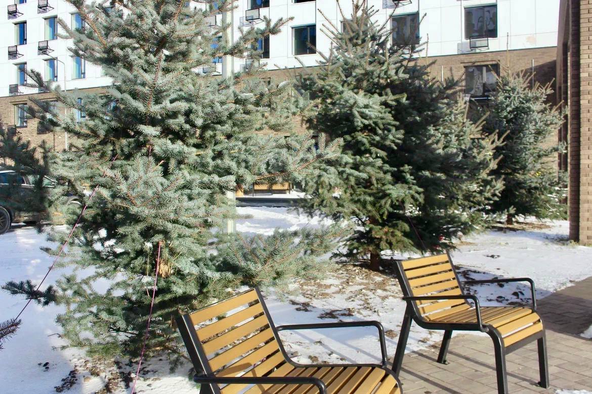 Новости застройщика — новостройки Казани