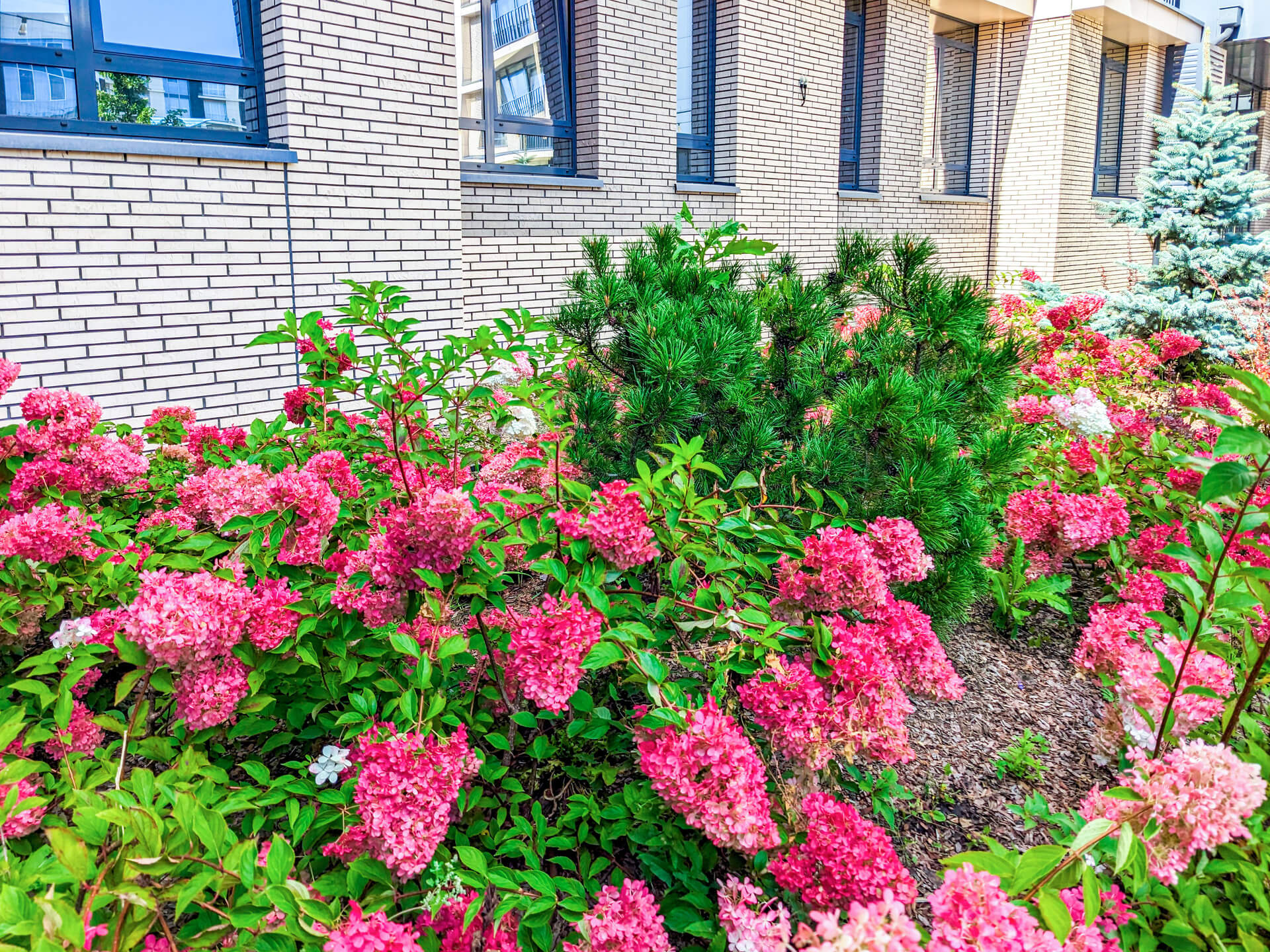 Преимущества — купить квартиру в Казани от застройщика